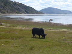Françoise et Alain - Circuit au Yunnan - Septembre 2014 (12 jours)